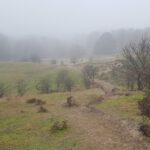 Zoza-wandeling-15-01-2022-6