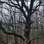 Zoza-wandeling-15-01-2022-10