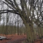 Zoza-wandeling-15-01-2022-12