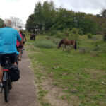 2023-08-13-zoza-castricum-04