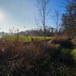 zoza-winterwandeling-keukenhof