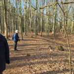 zoza-winterwandeling-keukenhof